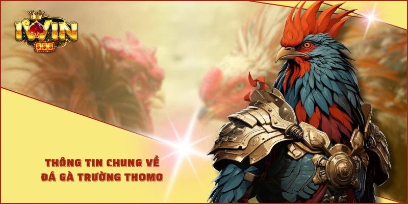 Thông tin chung về đá gà trường Thomo 